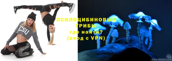 круглые Бородино
