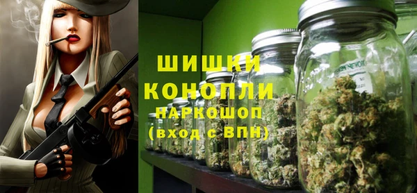 мдпв Бронницы