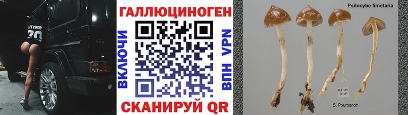 Псилоцибиновые грибы мухоморы  Екатеринбург 